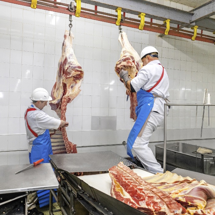 СЫРЬЕ ДЛЯ ПРОИЗВОДСТВА КОЛБАС 3.jpg